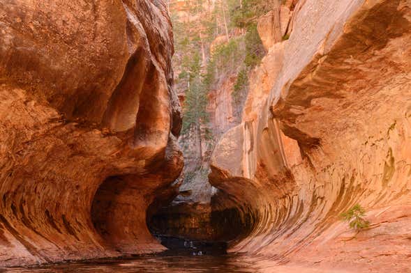 Zion Canyon & Valley of Fire Day Trip
