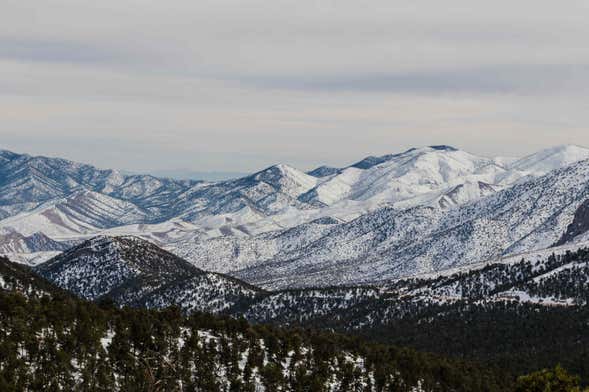 Day Trip to Mt. Charleston