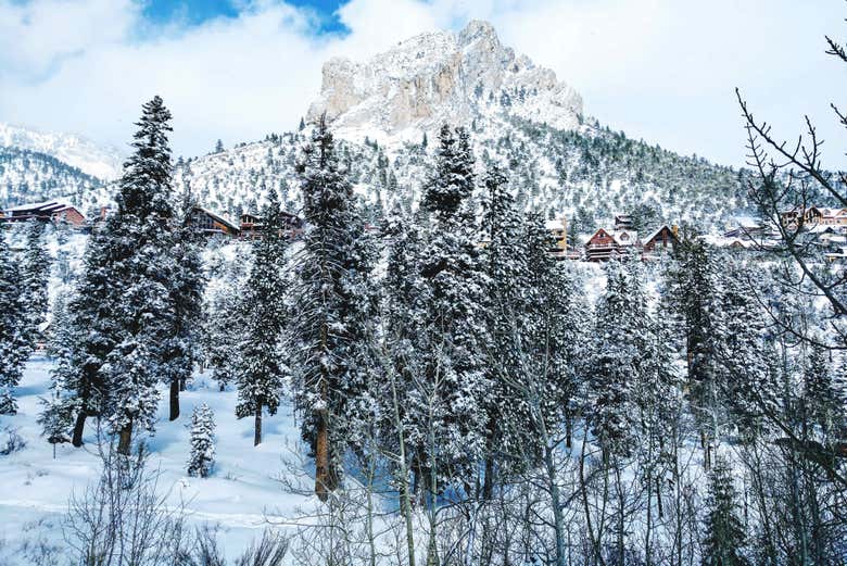 Visit the winter wonderland of Mt. Charleston