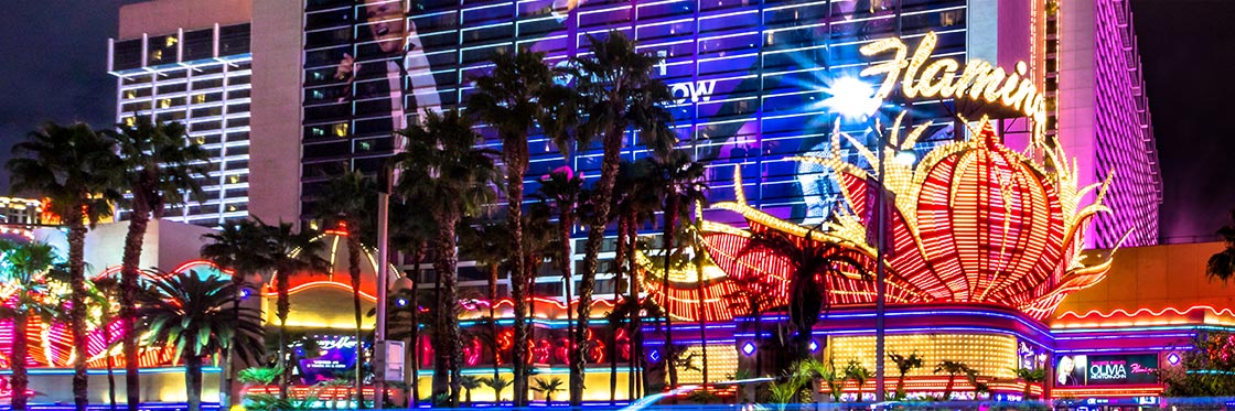 Flamingo Las Vegas Hotel & Casino in Las Vegas, the United States